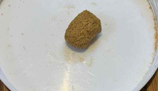 トゲオアガマのエサ　マズリのフード